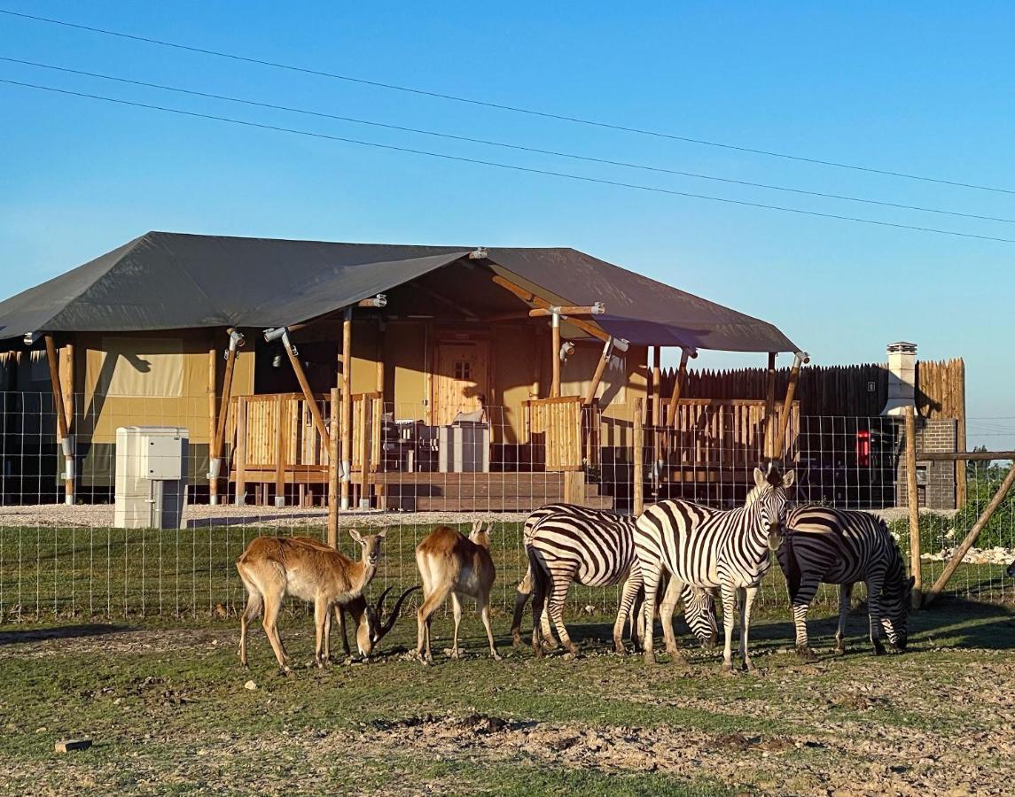 Kuanza Farmhouse And Lodge Zambujeira do Mar Exterior photo